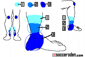足首の位置と足の内側を説明した絵