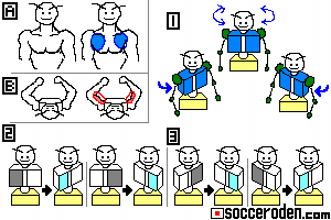 胸トラップで使う身体の使い方を紹介した絵