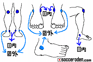 くるぶしの位置を説明した絵